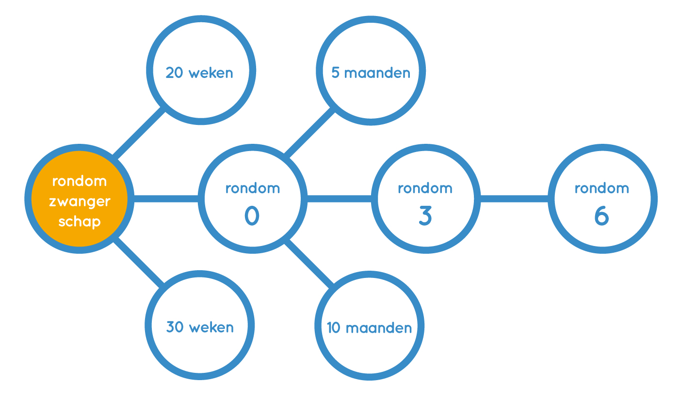 tijdlijn eerste cohort